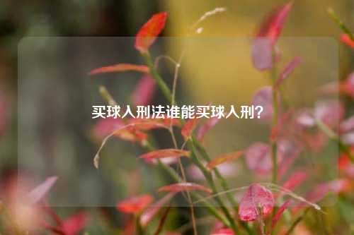 买球入刑法谁能买球入刑？