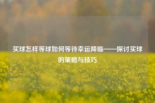 买球怎样等球如何等待幸运降临——探讨买球的策略与技巧