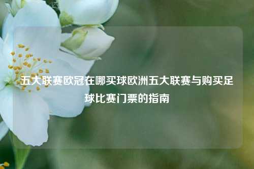 五大联赛欧冠在哪买球欧洲五大联赛与购买足球比赛门票的指南