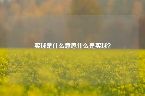买球是什么意思什么是买球？