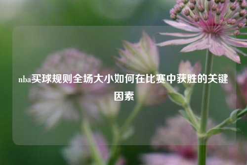 nba买球规则全场大小如何在比赛中获胜的关键因素