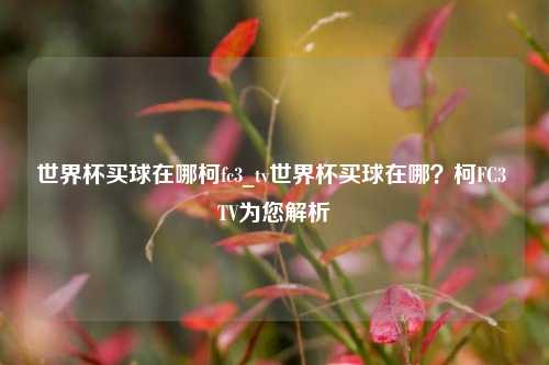 世界杯买球在哪柯fc3_tv世界杯买球在哪？柯FC3 TV为您解析