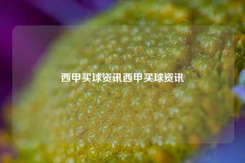 西甲买球资讯西甲买球资讯