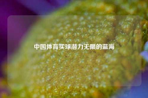 中国体育买球潜力无限的蓝海