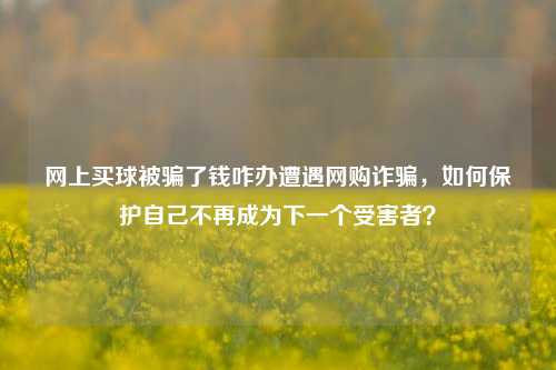 网上买球被骗了钱咋办遭遇网购诈骗，如何保护自己不再成为下一个受害者？