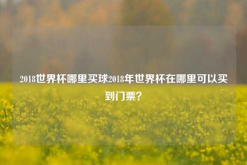 2018世界杯哪里买球2018年世界杯在哪里可以买到门票？