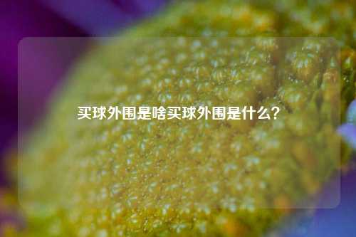 买球外围是啥买球外围是什么？