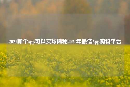 2021哪个app可以买球揭秘2021年最佳App购物平台