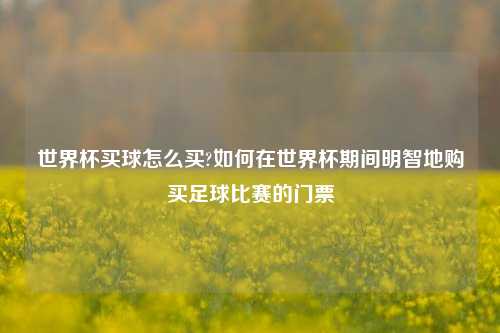 世界杯买球怎么买?如何在世界杯期间明智地购买足球比赛的门票