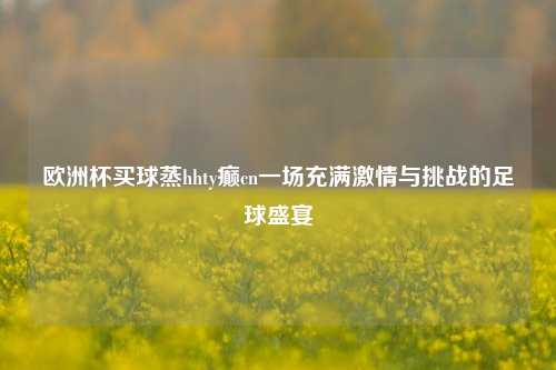 欧洲杯买球蒸hhty癫cn一场充满激情与挑战的足球盛宴