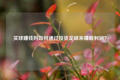 买球赚钱吗如何通过投资足球来赚取利润？