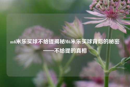 m6米乐买球不给提揭秘M6米乐买球背后的秘密——不给提的真相