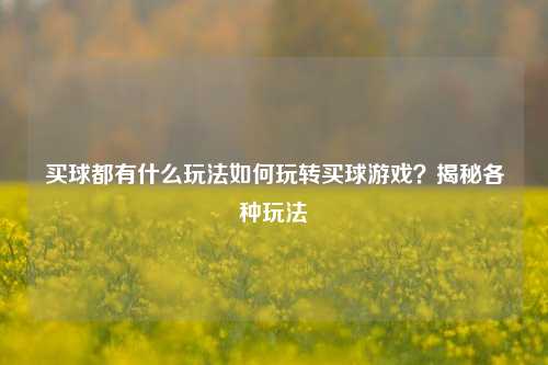 买球都有什么玩法如何玩转买球游戏？揭秘各种玩法