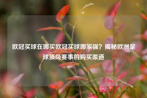欧冠买球在哪买欧冠买球哪家强？揭秘欧洲足球顶级赛事的购买渠道