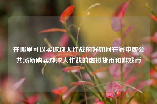 在哪里可以买球球大作战的好如何在家中或公共场所购买球球大作战的虚拟货币和游戏币