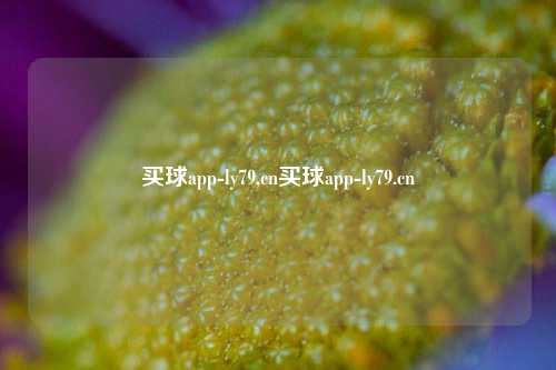 买球app-ly79,cn买球app-ly79.cn