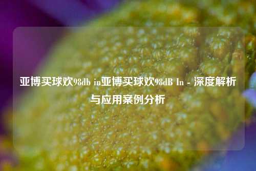 亚博买球欢98db in亚博买球欢98dB In - 深度解析与应用案例分析