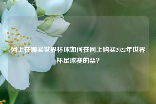 网上在哪买世界杯球如何在网上购买2022年世界杯足球赛的票？