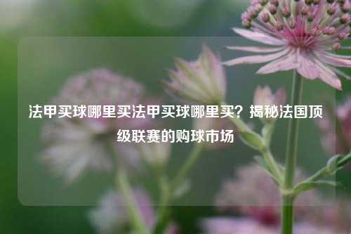 法甲买球哪里买法甲买球哪里买？揭秘法国顶级联赛的购球市场