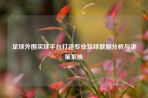 足球外围买球平台打造专业足球数据分析与决策系统