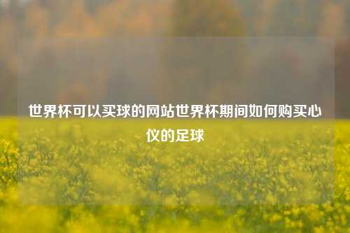 世界杯可以买球的网站世界杯期间如何购买心仪的足球
