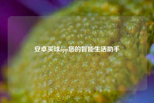 安卓买球app您的智能生活助手