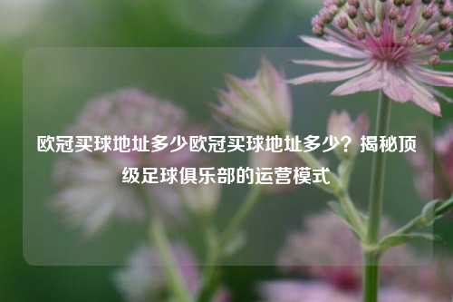 欧冠买球地址多少欧冠买球地址多少？揭秘顶级足球俱乐部的运营模式