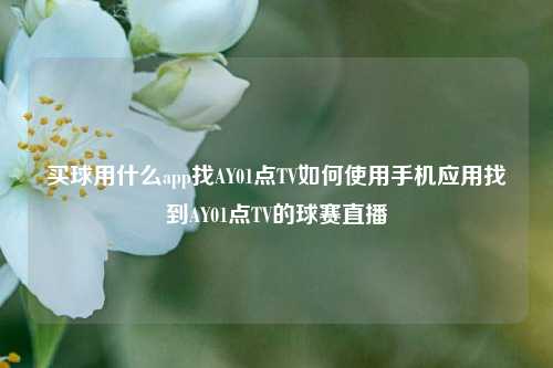 买球用什么app找AY01点TV如何使用手机应用找到AY01点TV的球赛直播