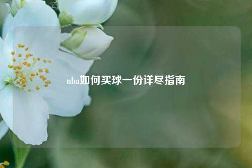 nba如何买球一份详尽指南