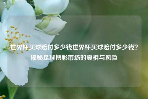 世界杯买球赔付多少钱世界杯买球赔付多少钱？揭秘足球博彩市场的真相与风险