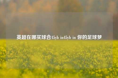 英超在哪买球合45yb in45yb in 你的足球梦
