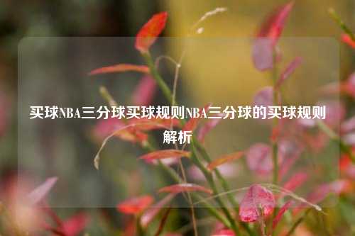 买球NBA三分球买球规则NBA三分球的买球规则解析