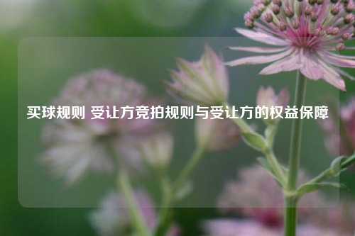 买球规则 受让方竞拍规则与受让方的权益保障