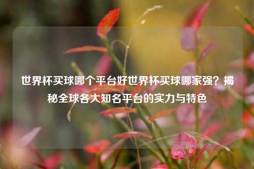世界杯买球哪个平台好世界杯买球哪家强？揭秘全球各大知名平台的实力与特色